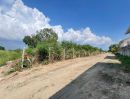 ขายที่ดิน - ขายที่ดิน จอมเทียนสายสอง ใกล้หาดจอมเทียน