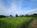 ขายที่ดิน - ขายที่ดินตำบลสันทรายห่างเทศบาลหนองแหย่งเพียง 800เมตร