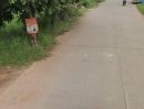 ขายที่ดิน - ขายที่ดินตำบลหมื่นไวยอำเภอเมืองนครราชสีมา