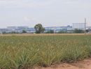 ขายที่ดิน - ขายที่ดินติด นิคม อมตะ ซิตี้ อ.ปลวกแดง จ.ระยอง พื้นที่ประมาณ 212 ไร่