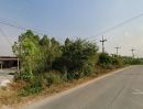 ขายที่ดิน - ขายที่ดินมาบเอื้อง หนองบอนแดง 2 ไร่ ติดถนนคอนกรีตไฟ3เฟสใกล้นิคมอมตะเฟส10-14กม. พานทอง ชลบุรี