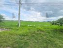ขายที่ดิน - ที่ดินเปล่า ติดถนนปทุมธานี-บางเลน หน้ากว้าง 24 เมตร ลึก 770 เมตร เป็นพื้นที่สีชมพู เหมาะเพื่อการอยู่อาศัย พาณิชยกรรม เกษตรกรรม