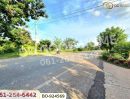 ขายที่ดิน - ที่ดินขามสะแกแสง 24 ไร่ 194.3 ตร.ว. นครราชสีมา ใกล้ที่ว่าการอำเภอขามสะแกแสง
