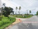 ขายที่ดิน - ขายที่ดิน 8ไร่ อ.เมือง จ.ประจวบคีรีขันธ์ ใกล้ถนนเพรชเกษม ที่สวนมะพร้าว มีบ้าน 1หลัง ลดราคาถูกสุดๆ