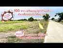 ขายที่ดิน - ที่ดินสวยแปลงเล็ก 100 ตรว.ติดถนนเลียบคลองแอน โปร่งสบาย เหมาะสร้างบ้านหรือเก็บไว้เป็นมรดกลูกหลาน