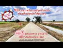 ขายที่ดิน - ที่ดินสวยแปลงเล็ก 100 ตรว.ติดถนนเลียบคลองแอน โปร่งสบาย เหมาะสร้างบ้านหรือเก็บไว้เป็นมรดกลูกหลาน