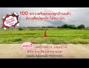 ขายที่ดิน - ที่ดินสวยแปลงเล็ก 100 ตรว.ติดถนนเลียบคลองแอน โปร่งสบาย เหมาะสร้างบ้านหรือเก็บไว้เป็นมรดกลูกหลาน