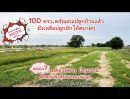 ขายที่ดิน - ที่ดินสวยแปลงเล็ก 100 ตรว.ติดถนนเลียบคลองแอน โปร่งสบาย เหมาะสร้างบ้านหรือเก็บไว้เป็นมรดกลูกหลาน