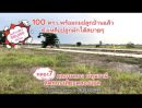 ขายที่ดิน - ที่ดินสวยแปลงเล็ก 100 ตรว.ติดถนนเลียบคลองแอน โปร่งสบาย เหมาะสร้างบ้านหรือเก็บไว้เป็นมรดกลูกหลาน