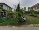 ขายที่ดิน - ขายที่ดินแปลงสวย พหลโยธิน64 ใกล้ถนนใหญ่ ทำเลดี เหมาะทั้งลงทุนหรือปลูกบ้าน