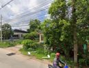 ขายที่ดิน - ขายที่ดินพร้อมบ้านติดถนน 231 ตรวในเมืองโคราชถนนสุระ2-บายพาส หลังเดอะมอลล์ ถ้าเอาแค่ที่ดินรื้อถอนให้ฟรี