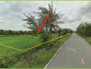 ขายที่ดิน - ขายโคตรถูก ต่ำกว่าราคาประเมินกรมที่ดิน และต่ำกว่าตลาด ที่ดินบนถนนฤชุพันธุ์ ถนนบางบัวทอง- สุพรรณบุรี ต. ไทรใหญ่ อ. บางบัวทอง จ. นนทบุรี 699 ตาารางวา