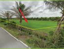 ขายที่ดิน - ขายโคตรถูก ต่ำกว่าราคาประเมินกรมที่ดิน และต่ำกว่าตลาด ที่ดินบนถนนฤชุพันธุ์ ถนนบางบัวทอง- สุพรรณบุรี ต. ไทรใหญ่ อ. บางบัวทอง จ. นนทบุรี 699 ตาารางวา