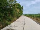 ขายที่ดิน - ขายที่ดินสวนเกษตรสำเร็จรูปที่ดินสวยหน้ากว้างติดถนน300เมตร อยู่เขตเทศบาล ใก้ลสกายวอค์กสุพรรณ