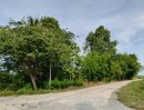 ขายที่ดิน - ขายที่ดินสวนเกษตรสำเร็จรูปที่ดินสวยหน้ากว้างติดถนน300เมตร อยู่เขตเทศบาล ใก้ลสกายวอค์กสุพรรณ