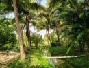 ขายที่ดิน - ขายที่ดินสวนเกษตรสำเร็จรูปที่ดินสวยหน้ากว้างติดถนน300เมตร อยู่เขตเทศบาล ใก้ลสกายวอค์กสุพรรณ