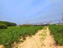 ขายที่ดิน - ขายที่ดินมาบยางพร อ.ปลวกแดง จ.ระยอง พื้นที่ 9 ไร่ 2งาน 70 ตรว.