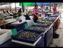 ขายที่ดิน - ขายด่วนตลาดสด(ตลาดเช้าที่ใหญ่ที่สุด)ใจกลางเมืองอุดรธานี