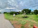 ขายที่ดิน - ขายที่ดิน ติดถนนผนังชลประทาน (เส้นทางไปท่าบ่อ เส้นริมโขง)
