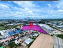 ขายที่ดิน - ขายที่ดินพื้นที่สีม่วงเข้มสำหรับโรงงานอุตสาหกรรม ระยอง