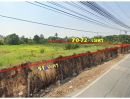 ขายที่ดิน - ขายที่ดิน ตรงข้ามอนามัยบ้านเพลินวัฒนา มีผู้เช่าระยะยาวรอ