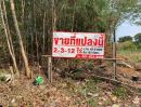 ขายที่ดิน - ขายด่วน !! ที่ดินแปลงสวย ทำเลดีใกล้แยกปากน้ำ สมุทรปราการ