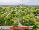 ขายที่ดิน - ขายที่ดิน แปลงเล็ก 50 ตร.ว.หนองเสือ ปทุมธานี