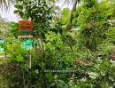 ขายที่ดิน - ที่ดินเปล่า ท่านัด-ดำเนินสะดวก เนื้อที่ 137 ตร.ว (ใกล้โรงพยาบาลส่งเสริมสุขภาพตำบลท่านัด) ตำบลท่านัด อำเภอดำเนินสะดวก จังหวัดราชบุรี