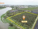 ขายที่ดิน - ที่ดินแปลงสวย ริมแม่น้ำท่าจีน 19 ไร่ สมุทรสาคร
