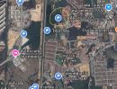 ขายที่ดิน - ขายที่ดิน 10ไร่ ทุ่งกราด แหลมฉบัง บางละมุง ผังม่วงลาย ใกล้ ทล.3009