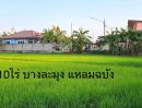 ขายที่ดิน - ขายที่ดิน 10ไร่ ทุ่งกราด แหลมฉบัง บางละมุง ผังม่วงลาย ใกล้ ทล.3009