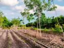 ขายที่ดิน - ขายที่ดินวิวธรรมชาติทำเลทอง 12ไร่ วังจันทร์ ระยอง ใกล้อ่างเก็บน้ำประแสร์ ใกล้ชุมชน เหมาะลงทุน รีสอร์ท ฟาร์ม สวนทุเรียน