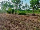 ขายที่ดิน - ขายที่ดินวิวธรรมชาติทำเลทอง 12ไร่ วังจันทร์ ระยอง ใกล้อ่างเก็บน้ำประแสร์ ใกล้ชุมชน เหมาะลงทุน รีสอร์ท ฟาร์ม สวนทุเรียน