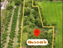 ขายที่ดิน - ขายที่ดิน 3-3-25 ไร่ ติดถนนทางหลวง 3309 ก่อนถึงศูนย์ศิลปาชีพบางไทร (อยุธยา) 2.4 กม. - ห่างจากทางหลวงหมายเลข 9 ถ.กาญจนาภิเษก (วงแหวนรอบนอก) 1 กม.-