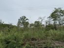 ขายที่ดิน - ที่ดินทำเลดี ใกล้ถนนใหญ่ อ.โป่งน้ำร้อน จันทบุรี