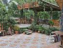 ขายที่ดิน - ขายที่ดิน พร้อมสวนลำใย พรรณไม้อื่นๆ บ้านพัก ต.บ้านคา อ.บ้านคา เนื้อที่ 11-3-04 ไร่