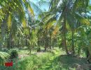 ขายที่ดิน - 13 ไร่ ติดคลองวัดประดู่ ติดทางหลวงชนบท สวนมะพร้าว 13 ไร่ 1 งาน Vายยกแปลง 12,000,000 บาท