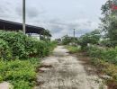 ขายที่ดิน - ขายที่ดินถมแล้ว 1ไร่ ลำลูกกา เลียบวงแหวนกาญจนาฯ คลอง 5 ปทุมธานี