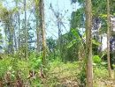 ขายที่ดิน - ที่ดินพร้อมสวนสัก ติดถนนคอนกรีต อยู่อาศัยได้ อ.ท่าปลา อุตรดิตถ์