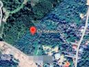 ขายที่ดิน - ที่ดินพร้อมสวนสัก ติดถนนคอนกรีต อยู่อาศัยได้ อ.ท่าปลา อุตรดิตถ์