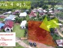 ขายที่ดิน - ขายที่ดินสวย(สี่เหลี่ยมผืนผ้า) จ.น่าน เนื้อที่รวม 2 งาน 4 ตร.ว.