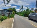 ขายที่ดิน - ขายที่ดินธัญบุรี เลียบคลองสอง ปทุมธานี เนื้อที่ 216 ตร.ว *ทำเลดีใกล้ถ.รังสิต-นครนายกเพียง 100 เมตร ที่ดินอยู่ระหว่าง ซ.รังสิต-นครนายก 29-31