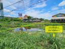 ขายที่ดิน - ขายที่ดินธัญบุรี เลียบคลองสอง ปทุมธานี เนื้อที่ 216 ตร.ว *ทำเลดีใกล้ถ.รังสิต-นครนายกเพียง 100 เมตร ที่ดินอยู่ระหว่าง ซ.รังสิต-นครนายก 29-31