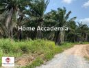 ขายที่ดิน - ขายที่ ดินทองคำ ที่ดินแปลงสวย 20ไร่ ติดถนนซอยมาบยางพร 17