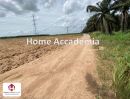 ขายที่ดิน - ขายที่ ดินทองคำ ที่ดินแปลงสวย 20ไร่ ติดถนนซอยมาบยางพร 17