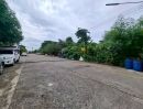 ขายที่ดิน - ขายที่ดิน ในหมู่บ้านหมอนทอง คลอง8 ลำลูกกา