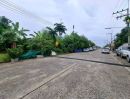 ขายที่ดิน - ขายที่ดิน ในหมู่บ้านหมอนทอง คลอง8 ลำลูกกา