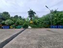ขายที่ดิน - ขายที่ดิน ในหมู่บ้านหมอนทอง คลอง8 ลำลูกกา