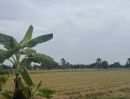 ขายที่ดิน - ที่ดินเขาย้อย ใกล้เพชรเกษม หนองชุมพลเหนือ