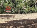 ขายที่ดิน - ที่ดินเปล่า อำเภอควนขนุน เนื้อที่ 950 ตร.ว ตำบลควนขนุน อำเภอควนขนุน จังหวัดพัทลุง